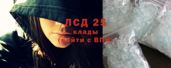 гидра Гусь-Хрустальный