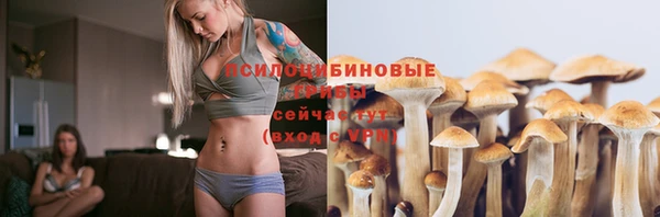 гидра Гусь-Хрустальный