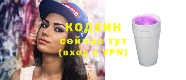 прущий лед Гусев