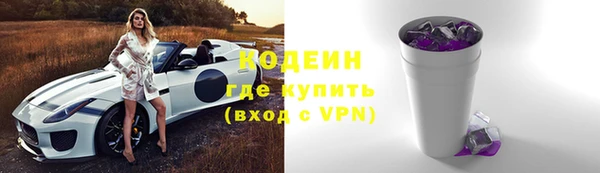 прущий лед Гусев