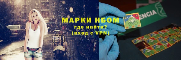 гидра Гусь-Хрустальный