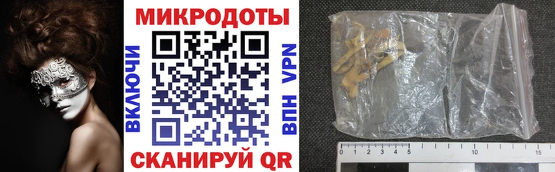 Галлюциногенные грибы Psilocybe  Меленки 